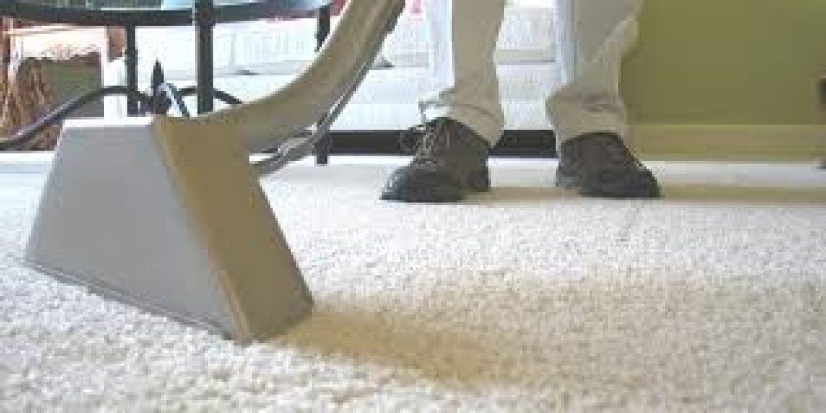 The Art of Cleanliness: Professional Carpet Cleaning Benefits