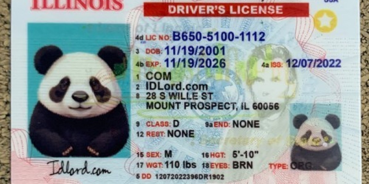 Real vs. Fake Illinois ID A Comprehensive Comparison