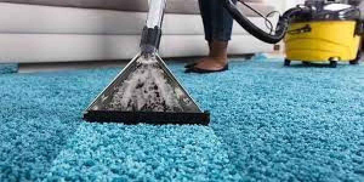 Professional Carpet Cleaning: A Key Player in Home Visual Elegance