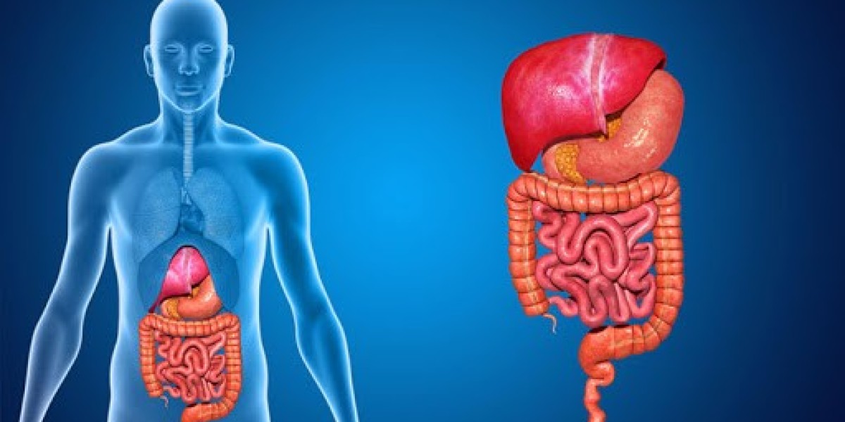 Finding the Right Gastroenterologist Doctor in Mumbai