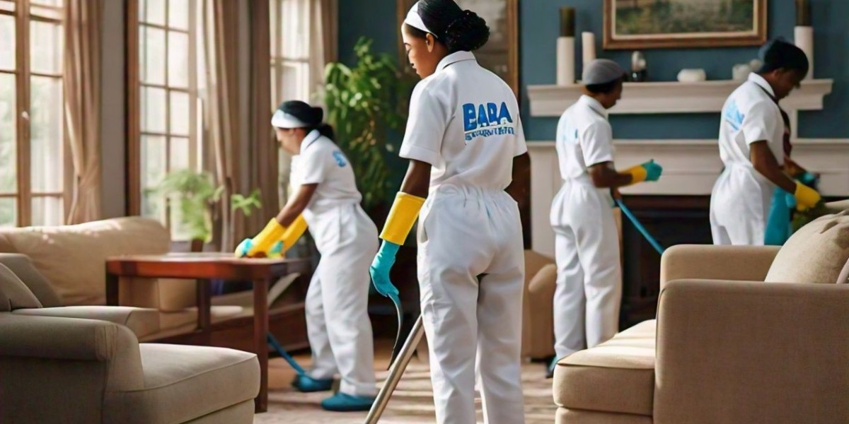 Bara Cleaning’s Top Tools and Products for a Spotless Home