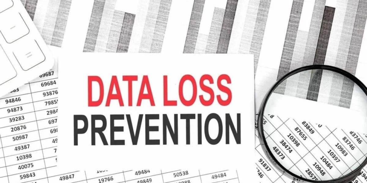 Understanding Data Loss Prevention (DLP) in the Digital World