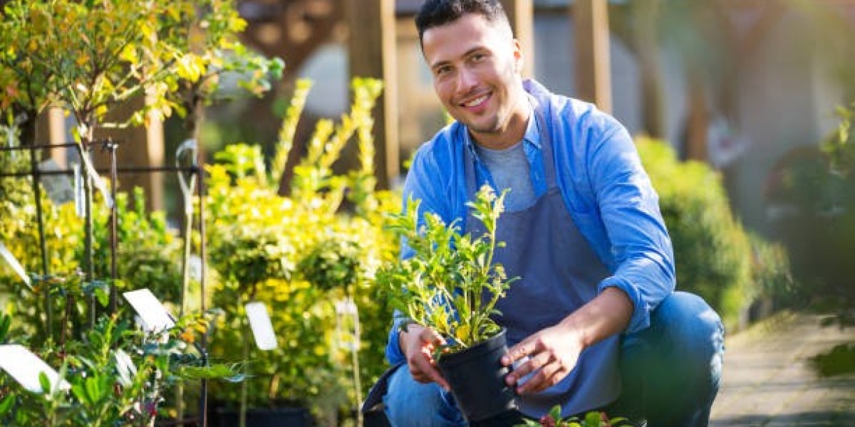 Gardening in an Apartment: Your Guide to Creating a Green Oasis