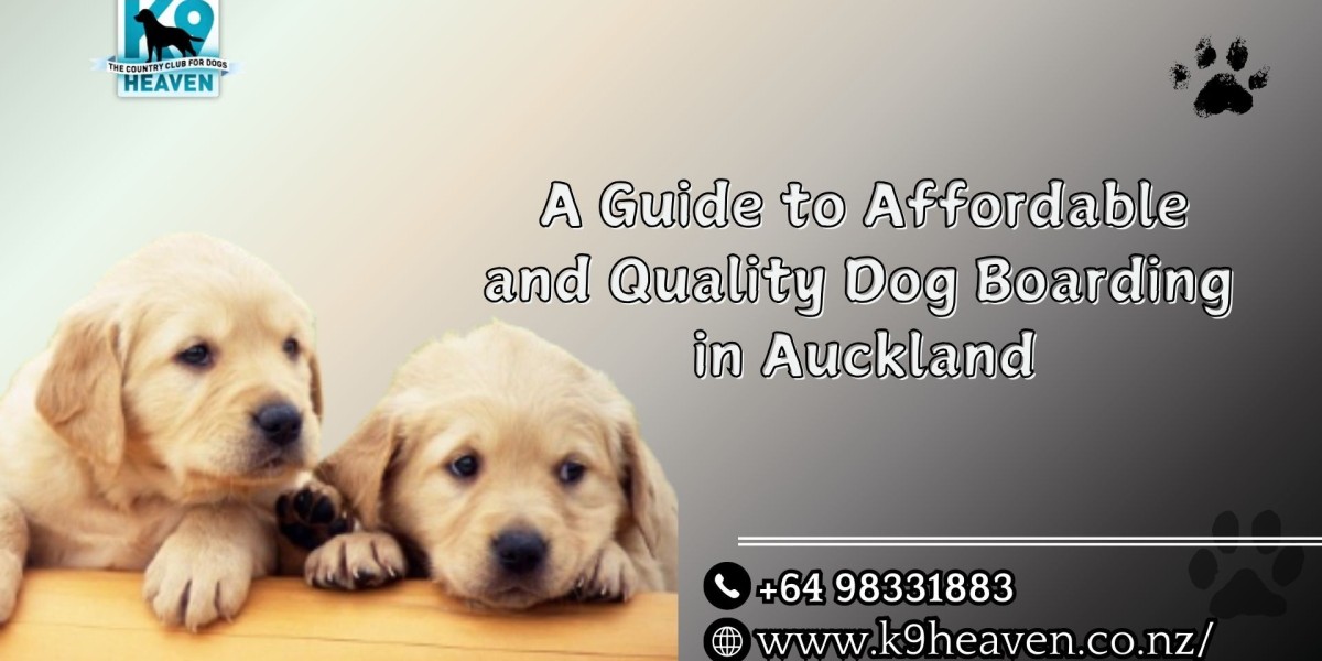 Getting Ready for the Holidays: A Boarding Checklist for Dog Owners in Auckland