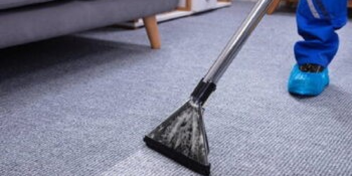 Professional Carpet Cleaning: Ensuring a Healthy Living Space